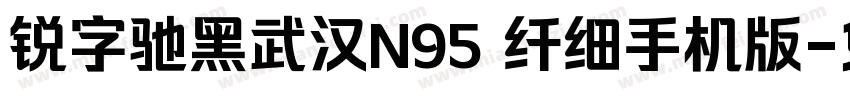 锐字驰黑武汉N95 纤细手机版字体转换